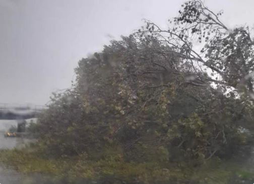 Νεροποντή στο Μιλάνο: Έπεσαν δέντρα και υπέστησαν ζημιές στέγες σπιτιών
