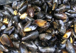 Χαλάστρα: Τα μύδια θύματα της κλιματικής αλλαγής