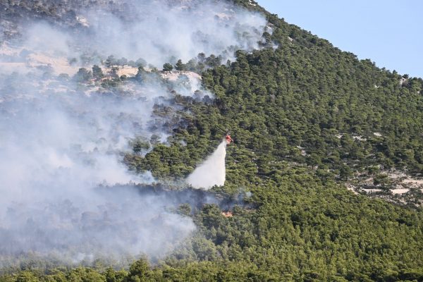 Φωτιά: Πύρινος εφιάλτης στην Πάρνηθα – Μάχη να μην φτάσει στους Θρακομακεδόνες – Η κατάσταση στα πύρινα μέτωπα
