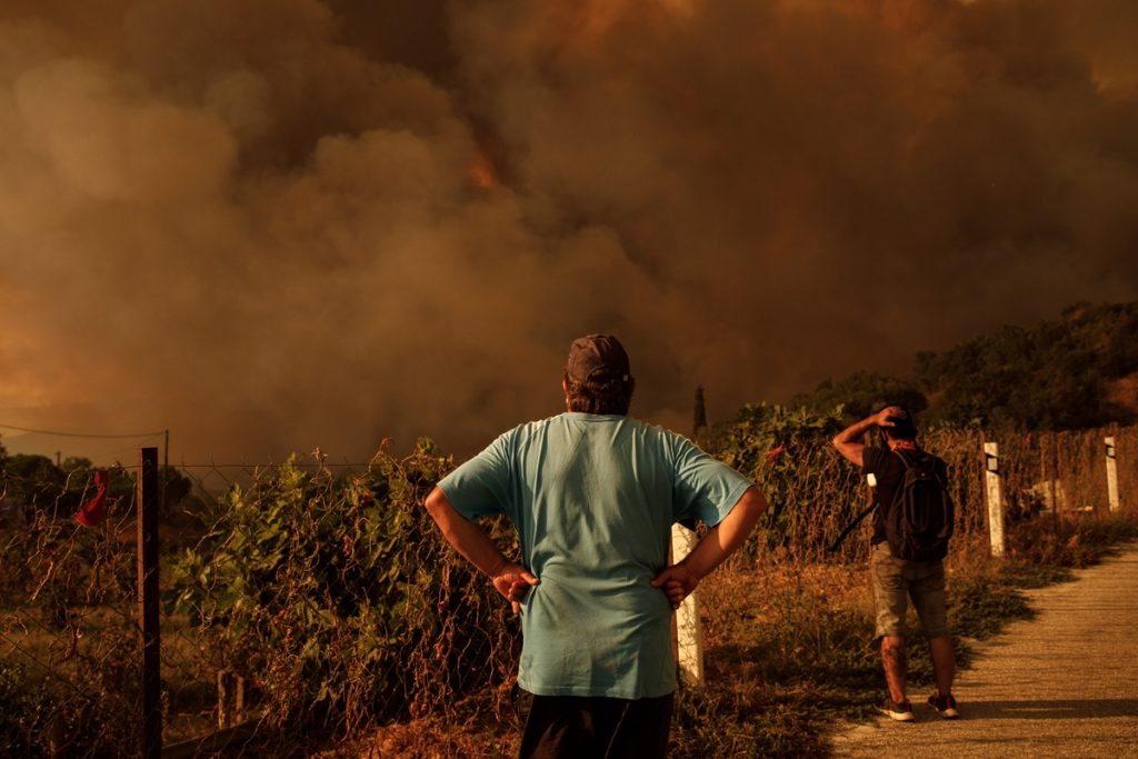 Φωτιά στον Έβρο: Αυτά είναι τα μέτρα στήριξης για τους πυρόπληκτους