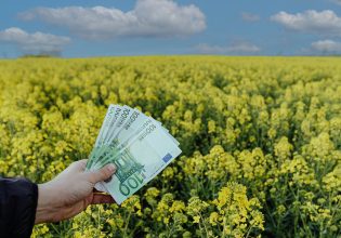 ΟΣΔΕ: Ποιες καλλιέργειες δηλώνονται για ενίσχυση – Η «γη υπό αγρανάπαυση»