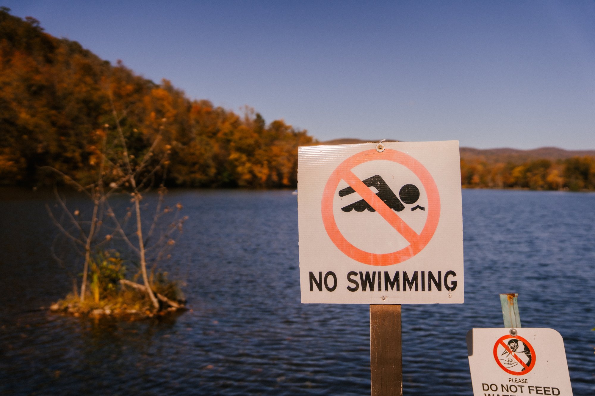 Χαλκιδική: Απαγορεύεται το κολύμπι στην παραλία της Νικήτης - Γέμισε απόβλητα η θάλασσα