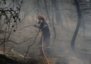 Φωτιά: Περισσότερα από 400.000 στρέμματα κάηκαν μέσα σε 3 ημέρες στην Ελλάδα