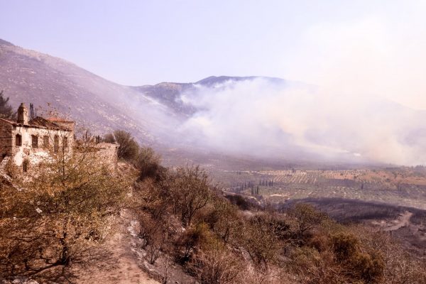 Φωτιά: Μάχη με τις αναζωπυρώσεις στην Πάρνηθα – Προσαγωγές υπόπτων για εμπρησμό – Στη Βοιωτία το πιο ενεργό μέτωπο