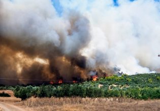 Φωτιά στην Εύβοια: Μεγάλο το μέτωπο σε Νέα Αρτάκη και Ψαχνά – Ισχυροί άνεμοι στην περιοχή