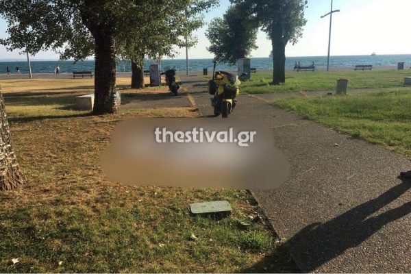 ptoma1 1024x683 | Lamianow.gr