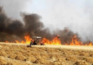 Αλεξανδρούπολη: Καταστροφική η πυρκαγιά για αγρότες και κτηνοτρόφους