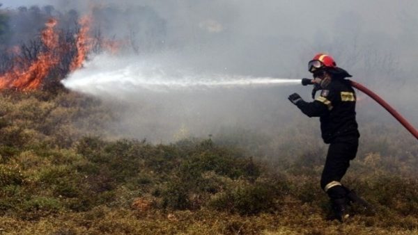 Φωτιά τώρα στον Μαραθώνα: Ισχυρή δύναμη της Πυροσβεστικής στο σημείο – Μήνυμα από το 112