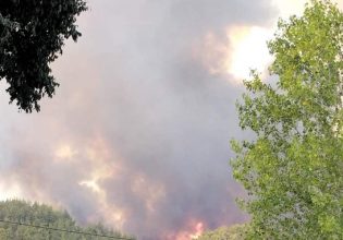 «Πρέπει να φύγουμε»: Κινδύνεψε το συνεργείο της ΕΡΤ από τη φωτιά στη Ροδόπη