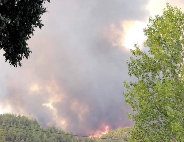 «Πρέπει να φύγουμε»: Κινδύνεψε το συνεργείο της ΕΡΤ από τη φωτιά στη Ροδόπη