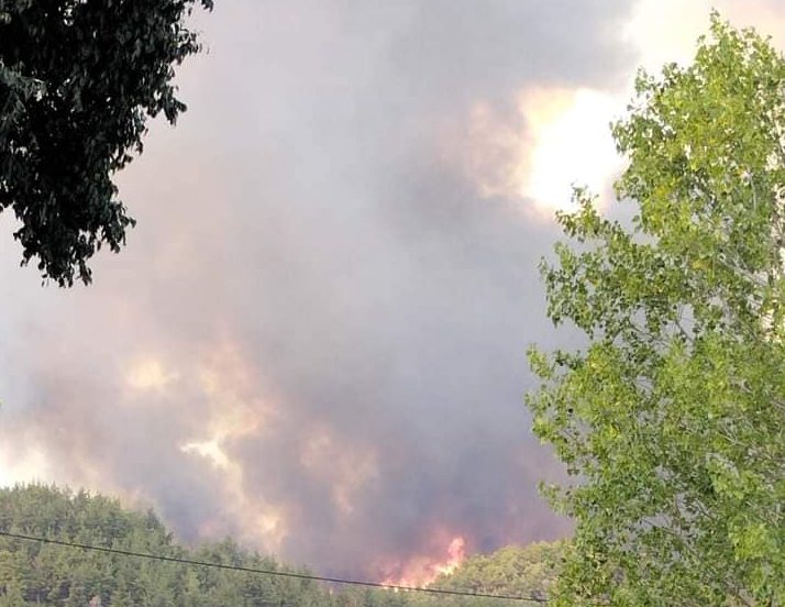 «Πρέπει να φύγουμε»: Κινδύνεψε το συνεργείο της ΕΡΤ από τη φωτιά στη Ροδόπη
