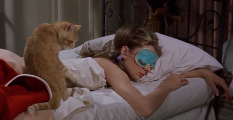 7 από τις πιο εμβληματικές γάτες στην ιστορία του κινηματογράφου -Τριχωτοί αστέρες