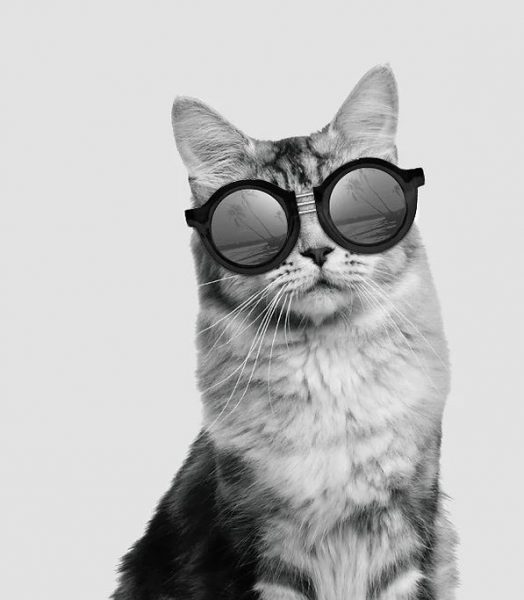 Για τα μάτια σου μόνο… – Από την καρδιά της Νέας Υορκης η VNY μας… βάζει τα γυαλιά