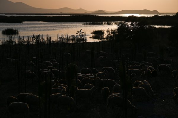 Κακοκαιρία Daniel: «Παρακολουθούμε τη στάθμη του νερού στη λίμνη Κάρλα με drones»