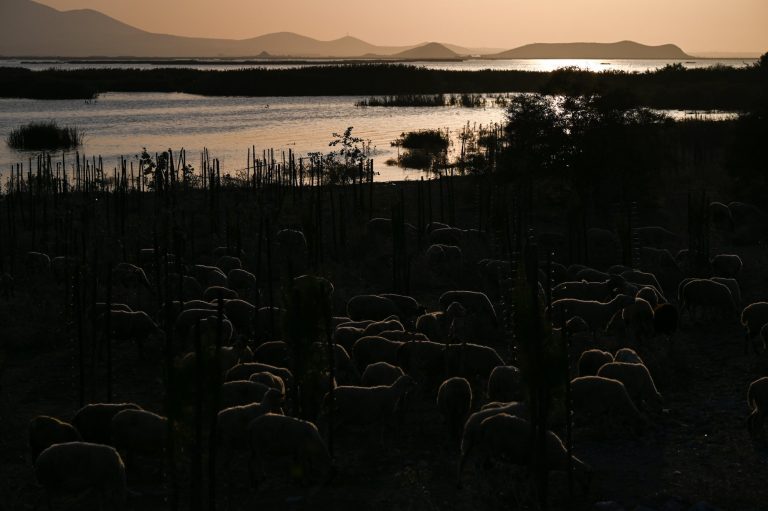 Κακοκαιρία Daniel: «Παρακολουθούμε τη στάθμη του νερού στη λίμνη Κάρλα με drones»