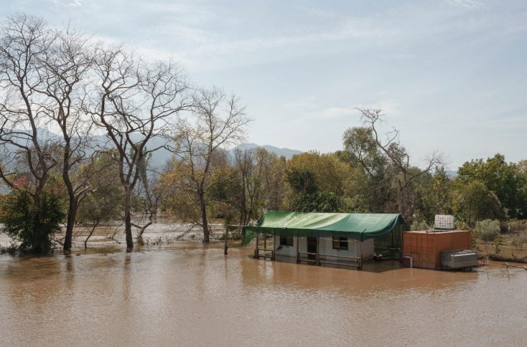Νίκος Τζανάκης: «Μπορεί να είναι θανατηφόρα η νόσος των πτηνοτρόφων εάν δεν ληφθεί θεραπεία»