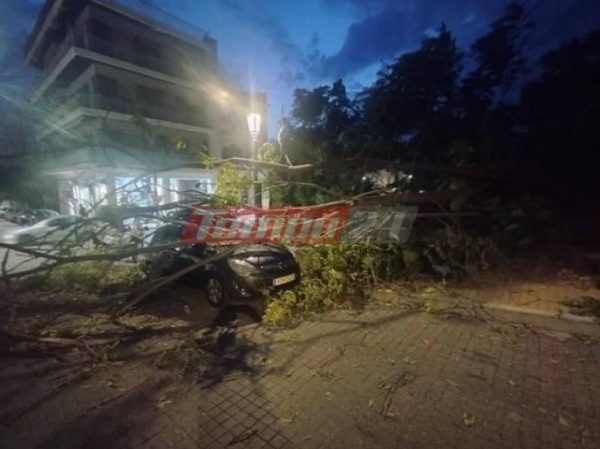 Πάτρα: Γυναίκα τραυματίστηκε από κλαδί δέντρου ενώ περίμενε το παιδί της να σχολάσει από το φροντιστήριο