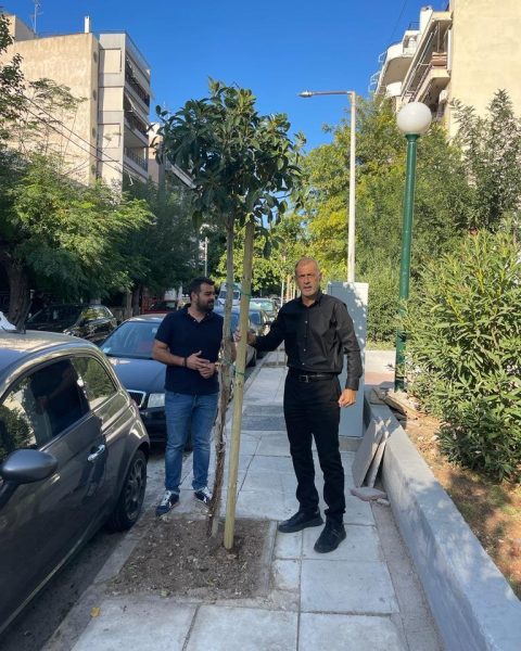 Πενήντα νέα δένδρα φυτεύονται στην περιοχή του Νέου Φαλήρου  από τον Δήμο Πειραιά   