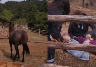 Σοβαρό ατύχημα στη Φάρμα – Άλογο κλώτσησε παίκτρια