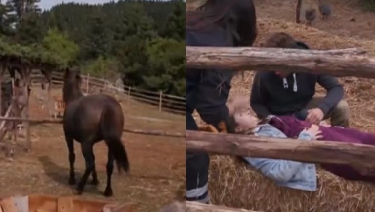 Σοβαρό ατύχημα στη Φάρμα – Άλογο κλώτσησε παίκτρια