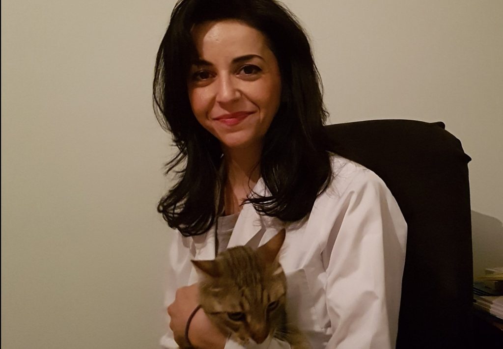 Δάγκωμα γάτας: Πόσο «αθώο» είναι ένα επιφανειακό τραύμα;