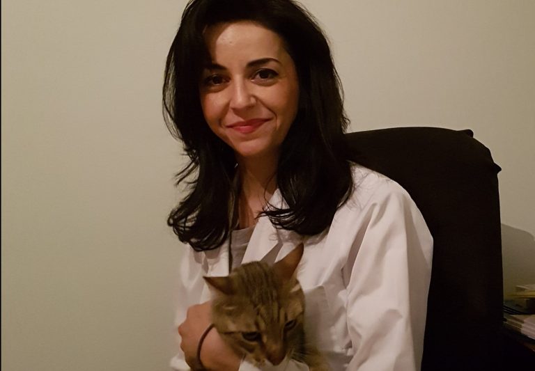 Δάγκωμα γάτας: Πόσο «αθώο» είναι ένα επιφανειακό τραύμα;