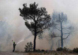 Τους χρειαζόμαστε περισσότερο από ό,τι μας χρειάζονται