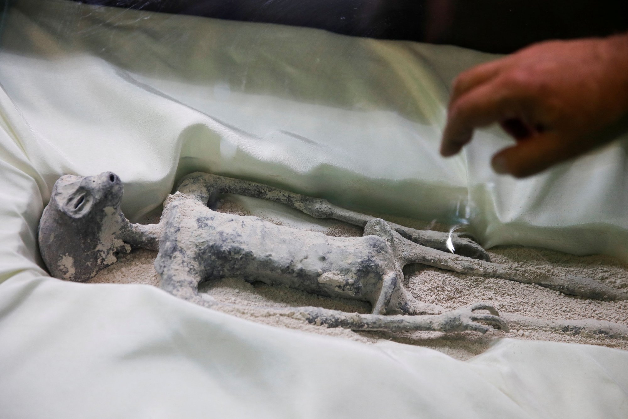 Πώς ερμηνεύουν οι επιστήμονες τα «πτώματα εξωγήινων» στο Μεξικό