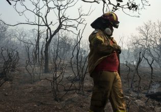 Φωτιές στην Ελλάδα: Σπάει τα αρνητικά ρεκόρ στην Ευρώπη – Λιγότερες πυρκαγιές αλλά τα περισσότερα καμένα στρέμματα