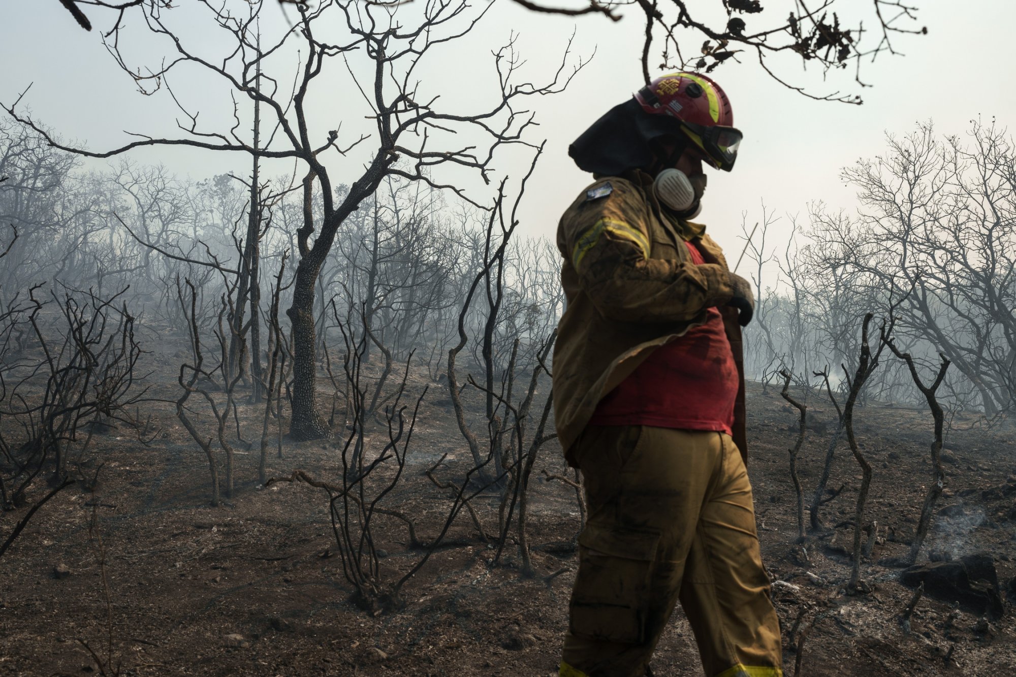 Φωτιές στην Ελλάδα: Σπάει τα αρνητικά ρεκόρ στην Ευρώπη - Λιγότερες πυρκαγιές αλλά τα περισσότερα καμένα στρέμματα