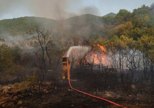 Ζάκυνθος: Φωτιά σε δασική έκταση