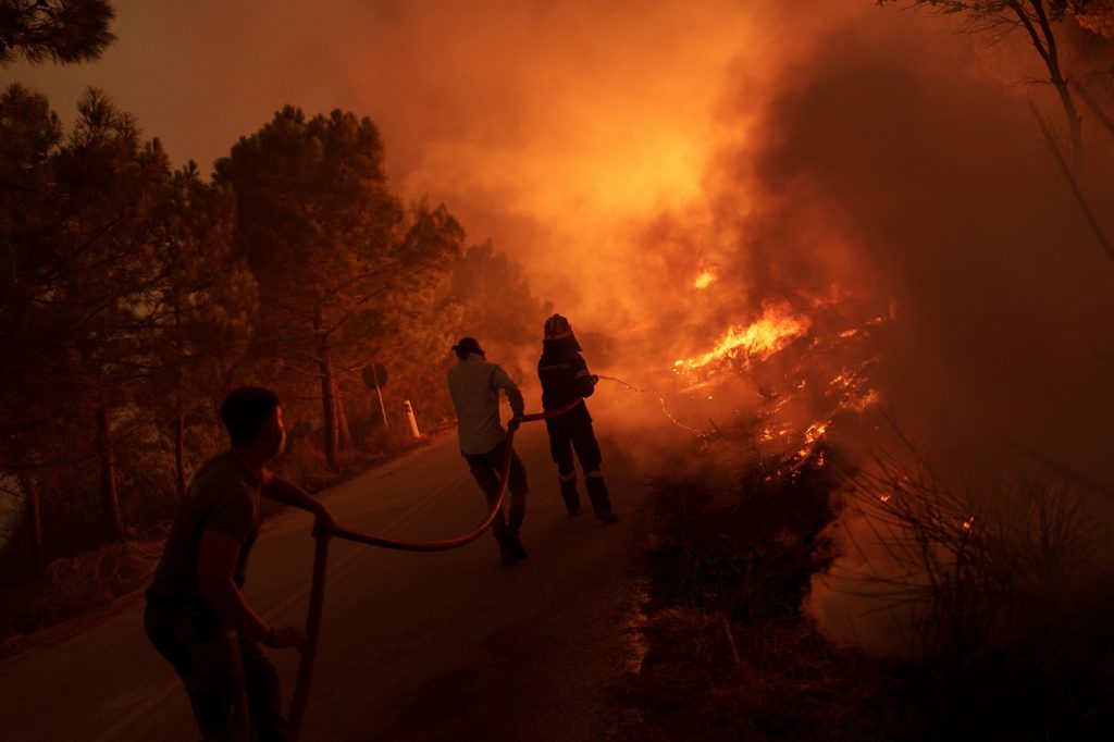 1.610.080 στρέμματα στάχτες, μηδέν ευθύνες