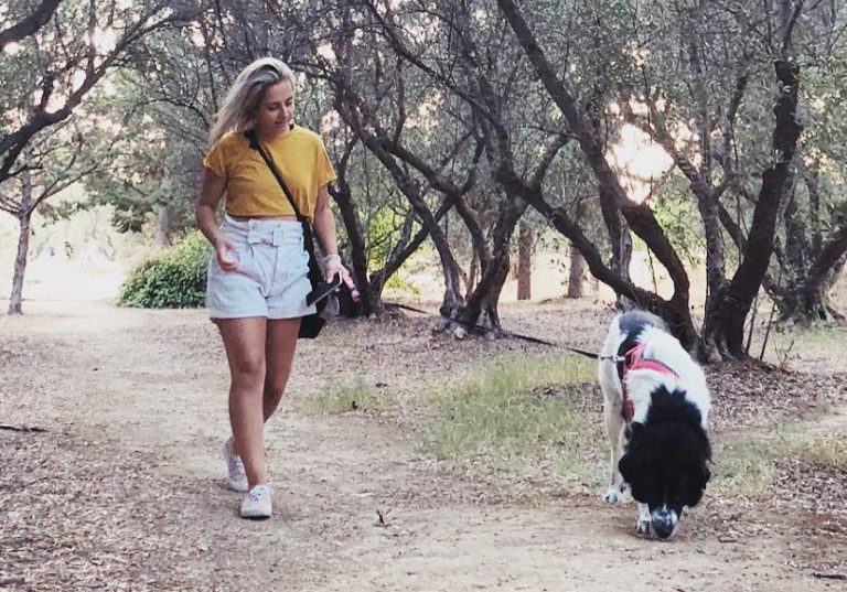 Πόσο ισχυρή είναι η μνήμη του σκύλου και τι πραγματικά θυμάται;