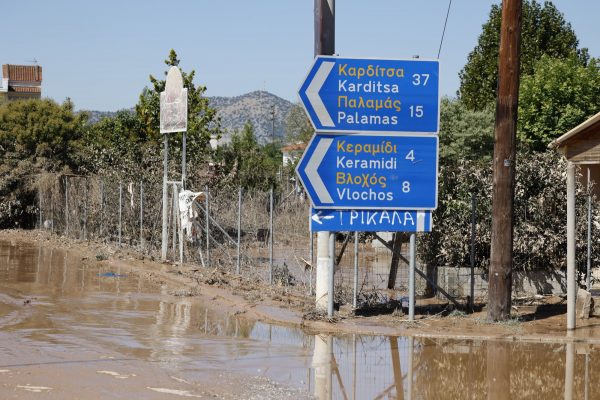 Κακοκαιρία Daniel: Πάνω από 210.000 τα νεκρά ζώα – Στη μάχη περισυλλογής και ο Στρατός