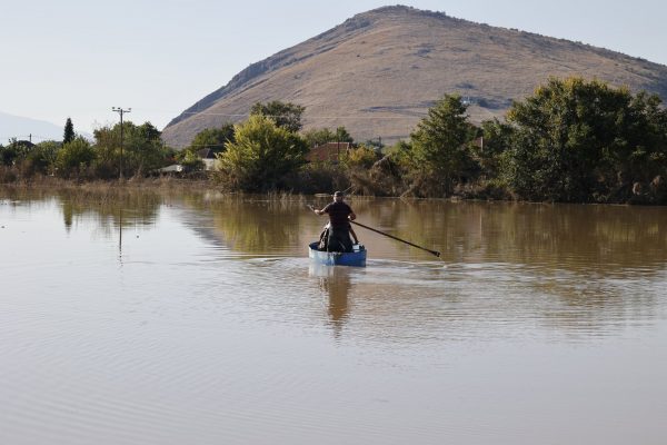 Θεσσαλία: Συγκινεί η διάσωση σκύλου από εθελοντές – Κολυμπούσε για μέρες στα λιμνάζοντα νερά