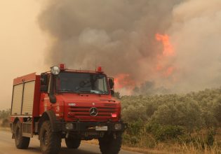 Μεγάλη φωτιά στην περιοχή Μιλά Οιχαλίας Μεσσηνίας