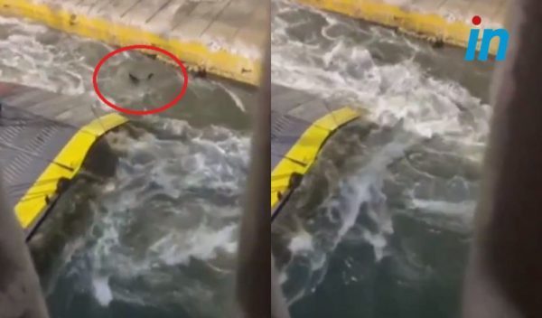 Blue Horizon: Ο λιμενικός που είχε βάρδια έφυγε πρόωρα – Νέα στοιχεία για τη δολοφονία του Αντώνη