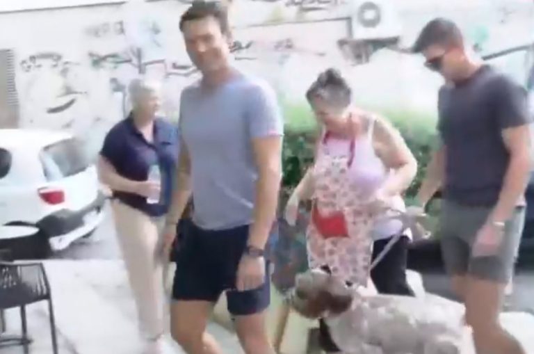 Στέφανος Κασσελάκης: Με βερμούδα σε χαλαρή βόλτα για καφέ μετά την επικράτηση στις εκλογές ΣΥΡΙΖΑ