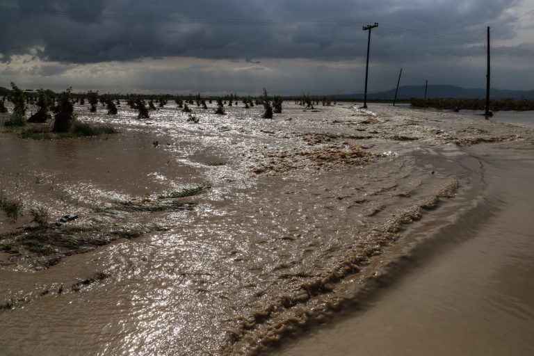 Κακοκαιρία Elias: Σπίτι παρασύρεται από τα ορμητικά νερά στην Εύβοια