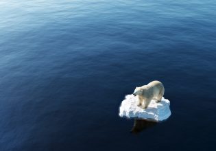 Η… διπολική κλιματική κρίση βγαίνει από τον «πάγο»