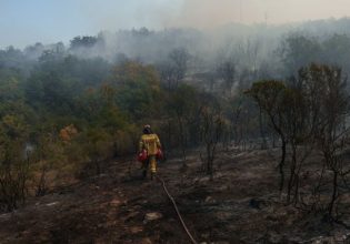 Φωτιά στον Εβρο: Απεγκλωβίστηκαν από πυροσβέστες 25 μετανάστες στο δάσος της Δαδιάς