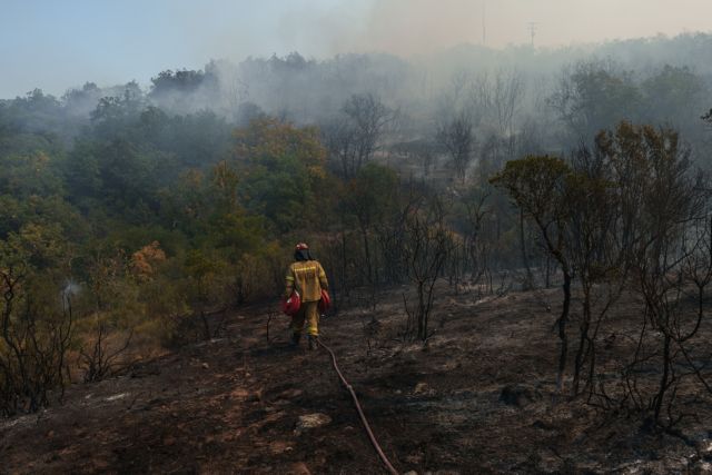 Fire in Evros: 25 migrants freed by firefighters in Thadiya forest