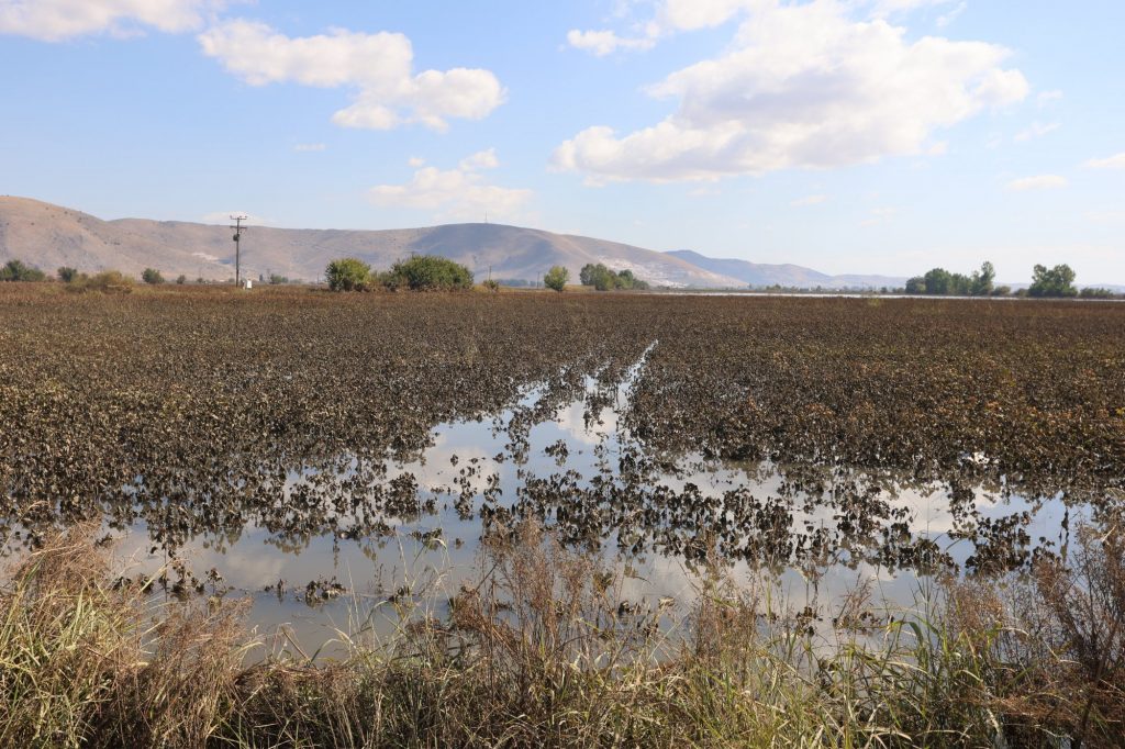 Θεσσαλία: Αλλαγές στην ασφάλεια κατανάλωσης του νερού – Πού κρίνεται κατάλληλο