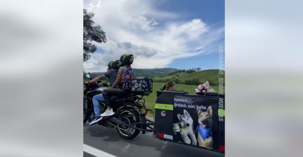 Κολομβία: Έφτιαξαν ειδικό τρέιλερ για να πηγαίνουν τα σκυλιά τους βόλτα με τη μηχανή