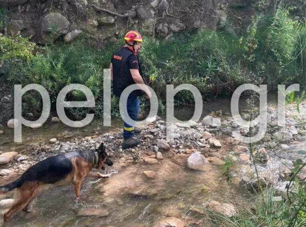 Φθιώτιδα: Σκύλος της ΕΜΑΚ και drones στις έρευνες για τον εντοπισμό πατέρα και γιου που αγνοούνται