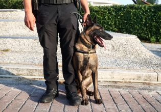 Αστυνομία: Περισσότερες από 300 συλλήψεις σε μία ημέρα για διάφορα αδικήματα σε όλη την Ελλάδα