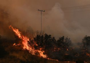 Φωτιά στην Ηλεία: Πυρκαγιά σε δασική έκταση στο Γούμερο