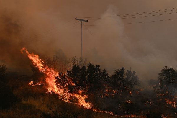 Φωτιά στην Ηλεία: Πυρκαγιά σε δασική έκταση στο Γούμερο
