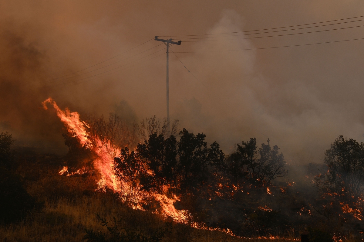 Φωτιά στην Ηλεία: Πυρκαγιά σε δασική έκταση στο Γούμερο