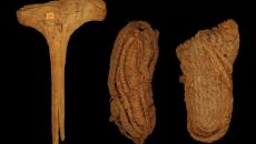 Ισπανία: Βρέθηκαν τα αρχαιότερα παπούτσια της Ευρώπης σε σπηλιά νυχτερίδων